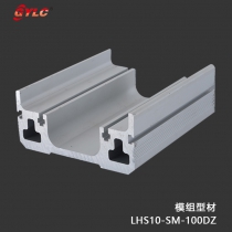 LHS10-SM-100DZ