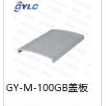 GY-M-100GB
