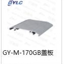 GY-M-170GB