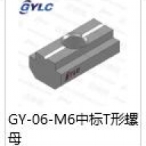 GY-06-M6.中標(biāo)T型螺母