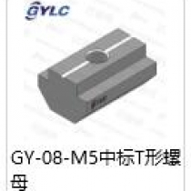 GY-08-M5中標(biāo)T型螺母