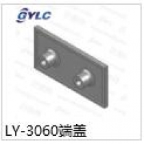 LY-3060端蓋