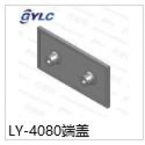 LY-4080端蓋