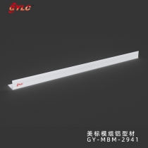 GY-MBM-2941